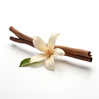 Elegant flower with cinnamon sticks