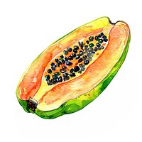 Vibrant watercolor papaya illustration