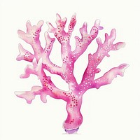 Vibrant pink coral illustration