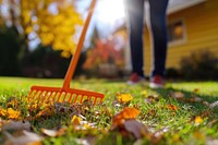 Clear up fallen leaves person grass rake.