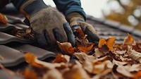 Cleaning the roof of leaves autumn glove house.