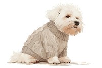 Adorable dog wearing cozy sweater