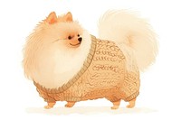 Adorable fluffy dog wearing sweater