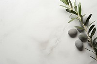 Minimalist zen background pebble medication plant.