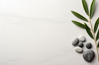 Minimalist zen background pebble medication plant.