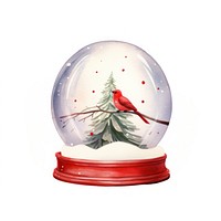 Christmas snow globe cardinal animal bird.