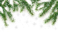 Green tree branches with snowflakes background christmas pine.