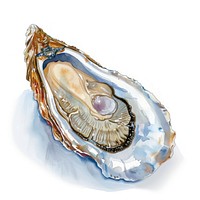 Detailed oyster with pearl illustration