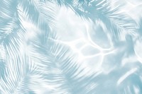 Palm leaves shadow on water background outdoors abstract.