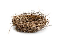 Empty bird nest on white