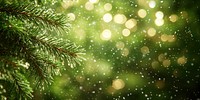 Pine tree branches with snowflakes green background christmas.