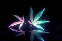 Cannabis leaves leaf neon.