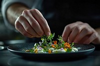 A chef plating an elegant dish on the table food plate herbs.