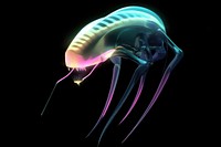 Sci-fi creature fantasy neon extraterrestrial.