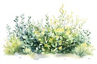 Green bushes with flowers art illustration watercolor.