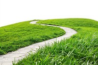 Serene winding path through grass