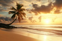 Scenic coral beach with palm tree shoreline landscape arecaceae.