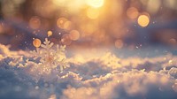 Snowflakes background nature winter.