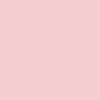 Flamingo pink plain background