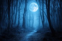 Mysterious forest moon scenery moonlit.