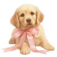 Coquette Golden Retriever puppy illustration retriever animal.