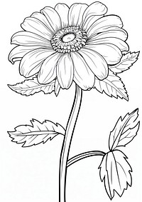 Daisy flower art illustration.