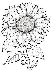 Sunflower illustration drawing art.