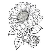 Sunflower art illustration drawing.