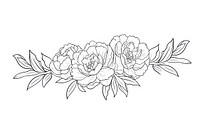 Peonies art illustration drawing.