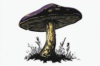 A mushroom illustration artwork fungus.