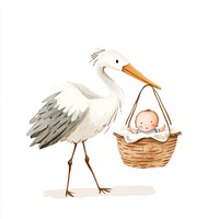 Baby basket illustration newborn.