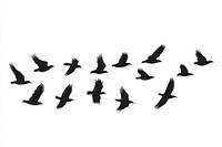 A flock of birds flying in the sky silhouette clip art illustration silhouetted formation.