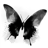 Butterfly pattern design art.