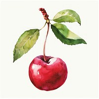 An isolated Christmas cherry illustration watercolor background.