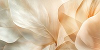 Flower petals background abstract texture.