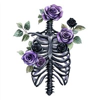 Ribs with purple and black roses art illustration watercolor.