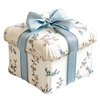 Coquette winter music box ribbon blue decorative.