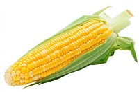 Sweet corn background isolated produce.