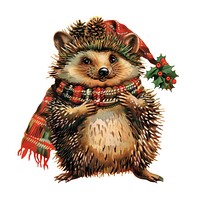 Hedgehog character christmas animal cute.