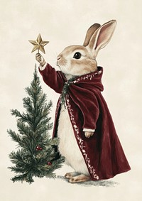 A Rabbit in a velvet Christmas cape christmas rabbit illustration.