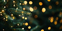 A close-up of the lights on an evergreen tree christmas branches bokeh.