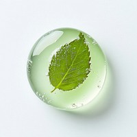 A transparent serum gel toner drop with a Centella Asiatica Leaf inside the gel drop leaf green mint.