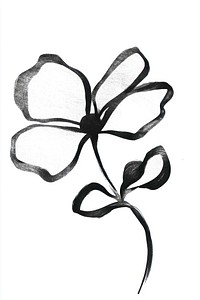 Butterfly drawing flower black.