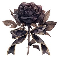 Black coquette rose flower art illustration.