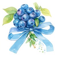 Blue coquette blueberry blueberries illustration watercolor.