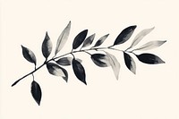 Olive branch leaf art illustration.