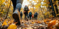 Tourists autumn forest group.