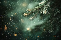 Light fresh green pine tree branches with golden lights background christmas snow.