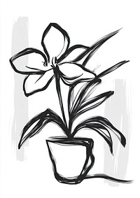 Plant in a vase drawing flower sketch.