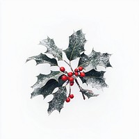 A festive snowy Christmas Holly leaves with christmas red berry decoration berries nature.